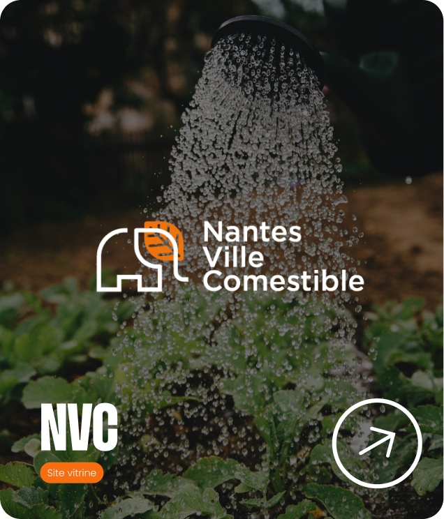 NVC