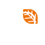 NVC.png