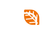 NVC.png