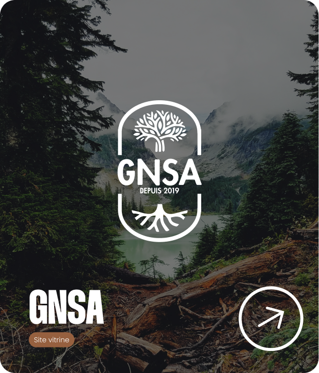 gnsa